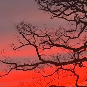 Meet your Posher, One for Style